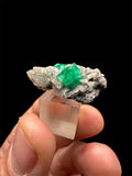 Émeraude sur Calcite, Mine de Muzo, Boyacá, Colombie.