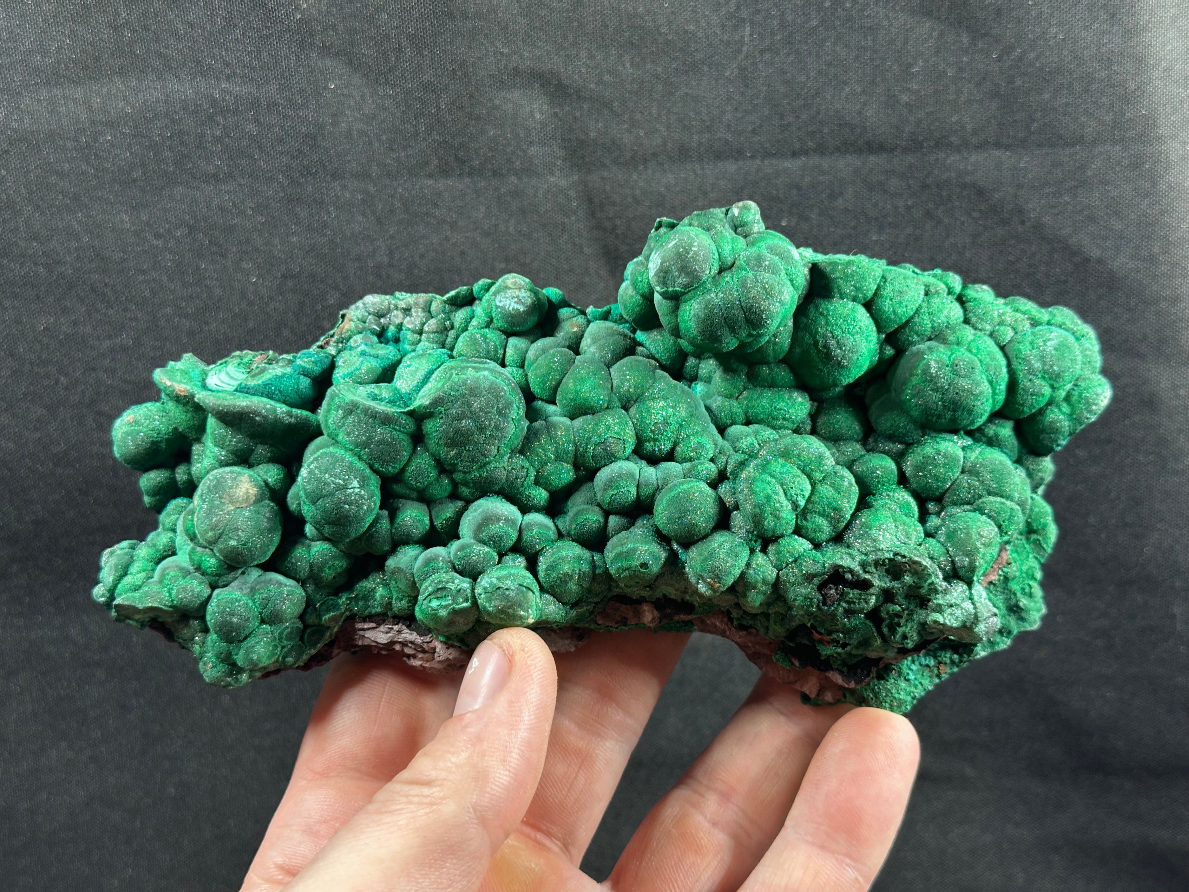 Malachite botryoïdale, Katanga, République Démocratique du Congo.