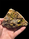 Pyromorphite, Les Rosiers, Pontgibaud, Riom, Puy-de-Dôme, France.