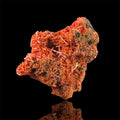 Crocoïte, Adelaide Mine, Dundas, Tasmanie, Australie.