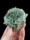 Tourmaline verte sur Quartz, Stak Nala, Skardu, Pakistan.