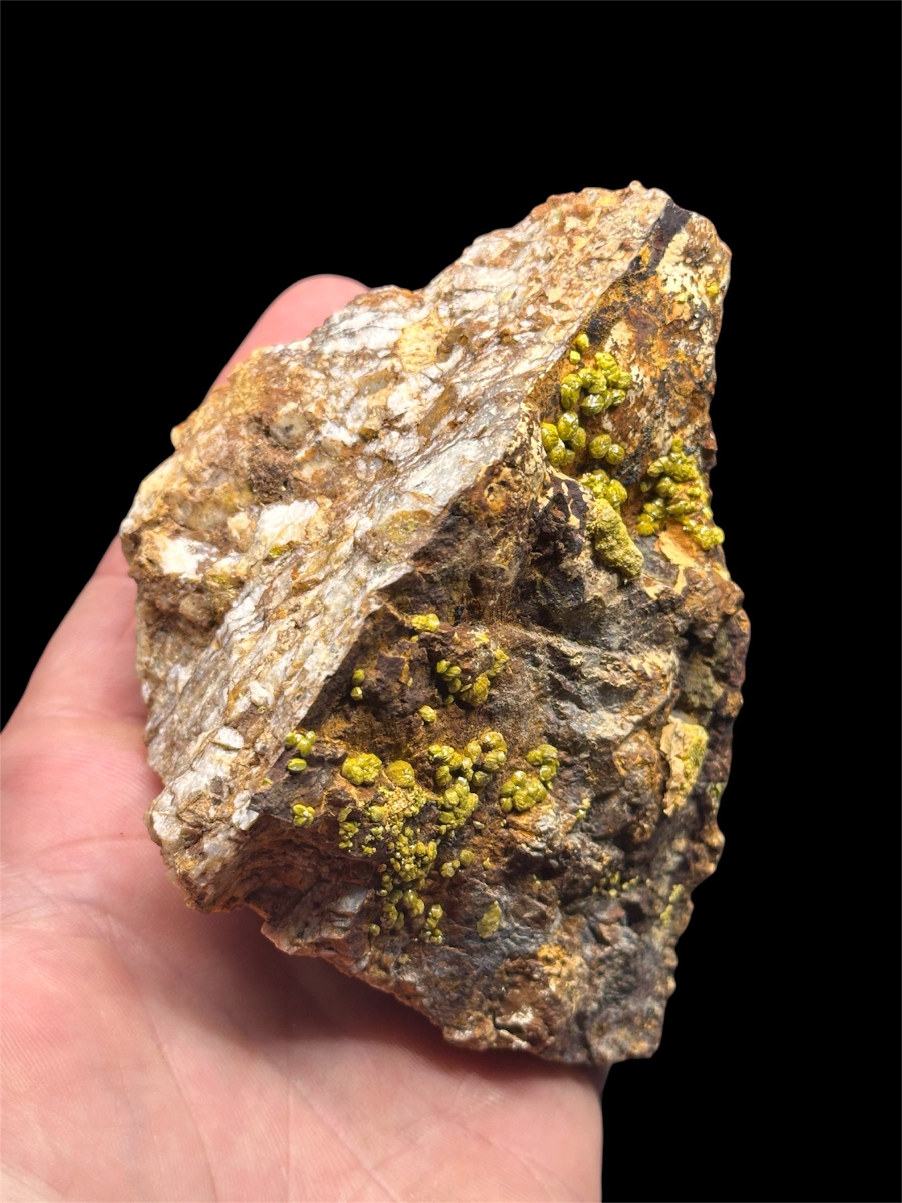 Pyromorphite, Les Rosiers, Pontgibaud, Riom, Puy-de-Dôme, France.