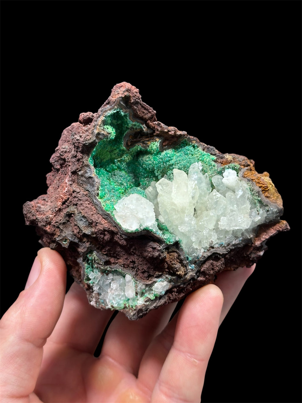 Calcite sur Conichalcite, Mine Ojuela, Mapimí, Durango, Mexique.