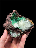 Calcite sur Conichalcite, Mine Ojuela, Mapimí, Durango, Mexique.