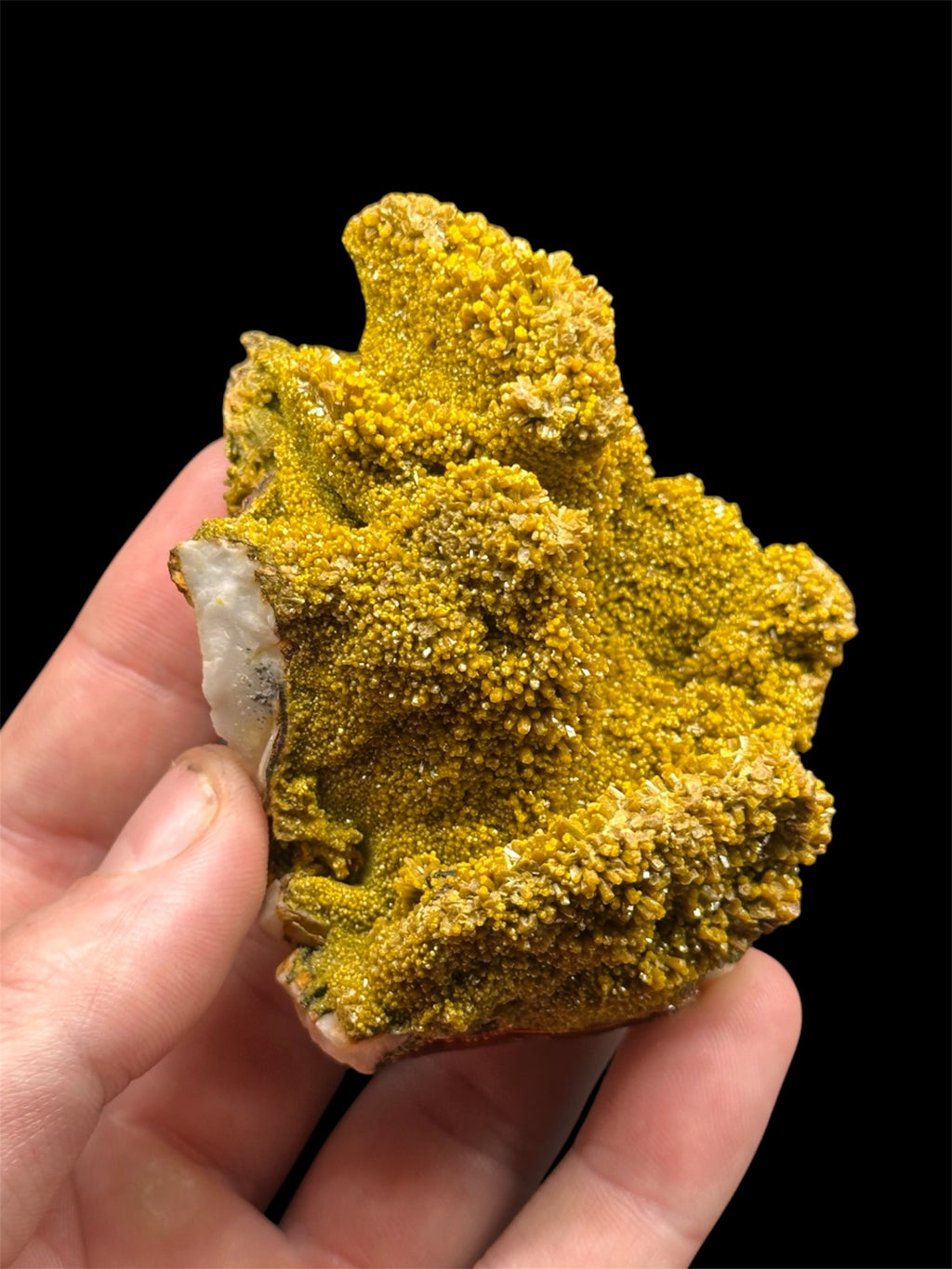 Pyromorphite, Mine des Farges, Corrèze, France.