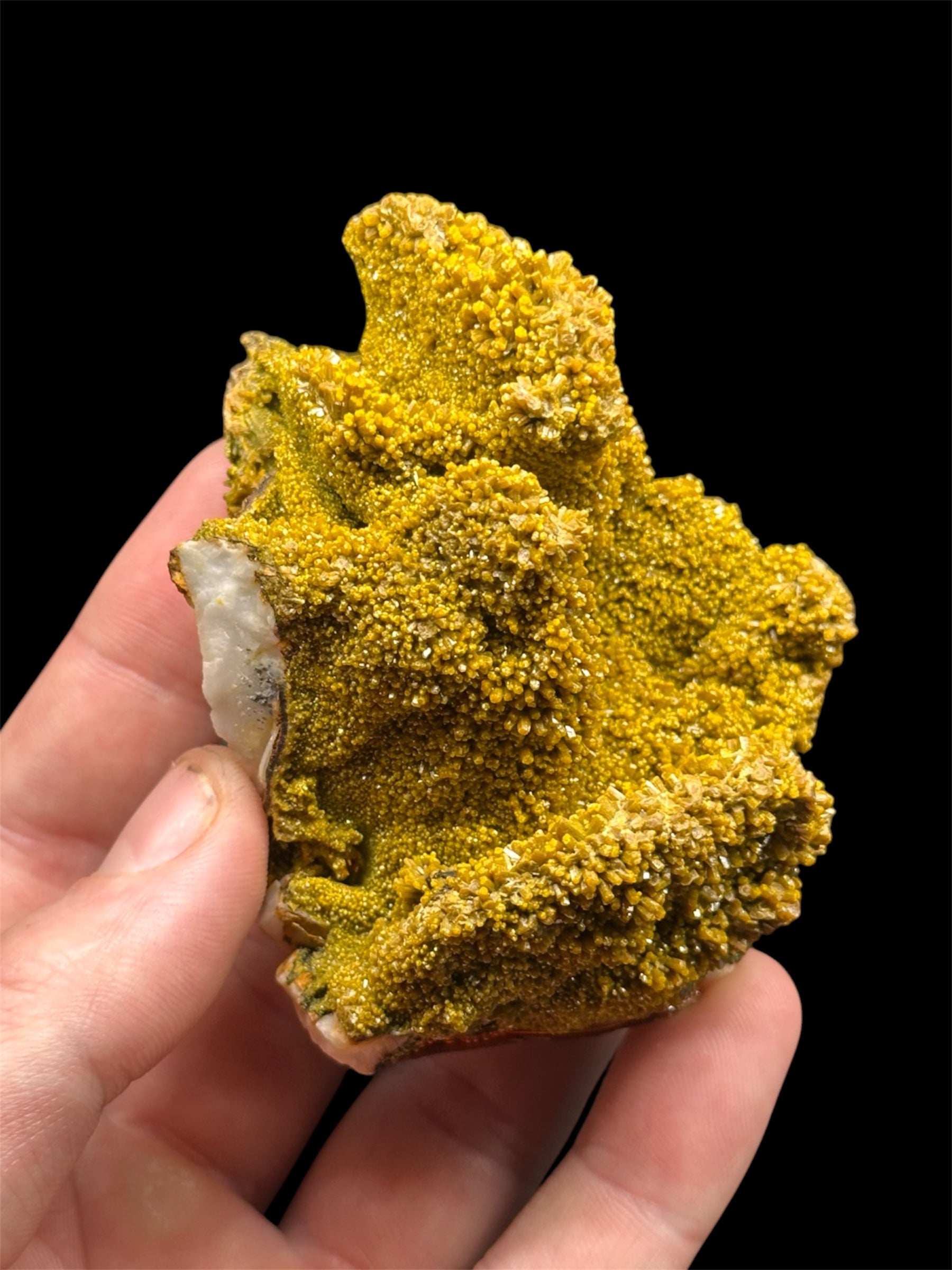 Pyromorphite, Mine des Farges, Corrèze, France.