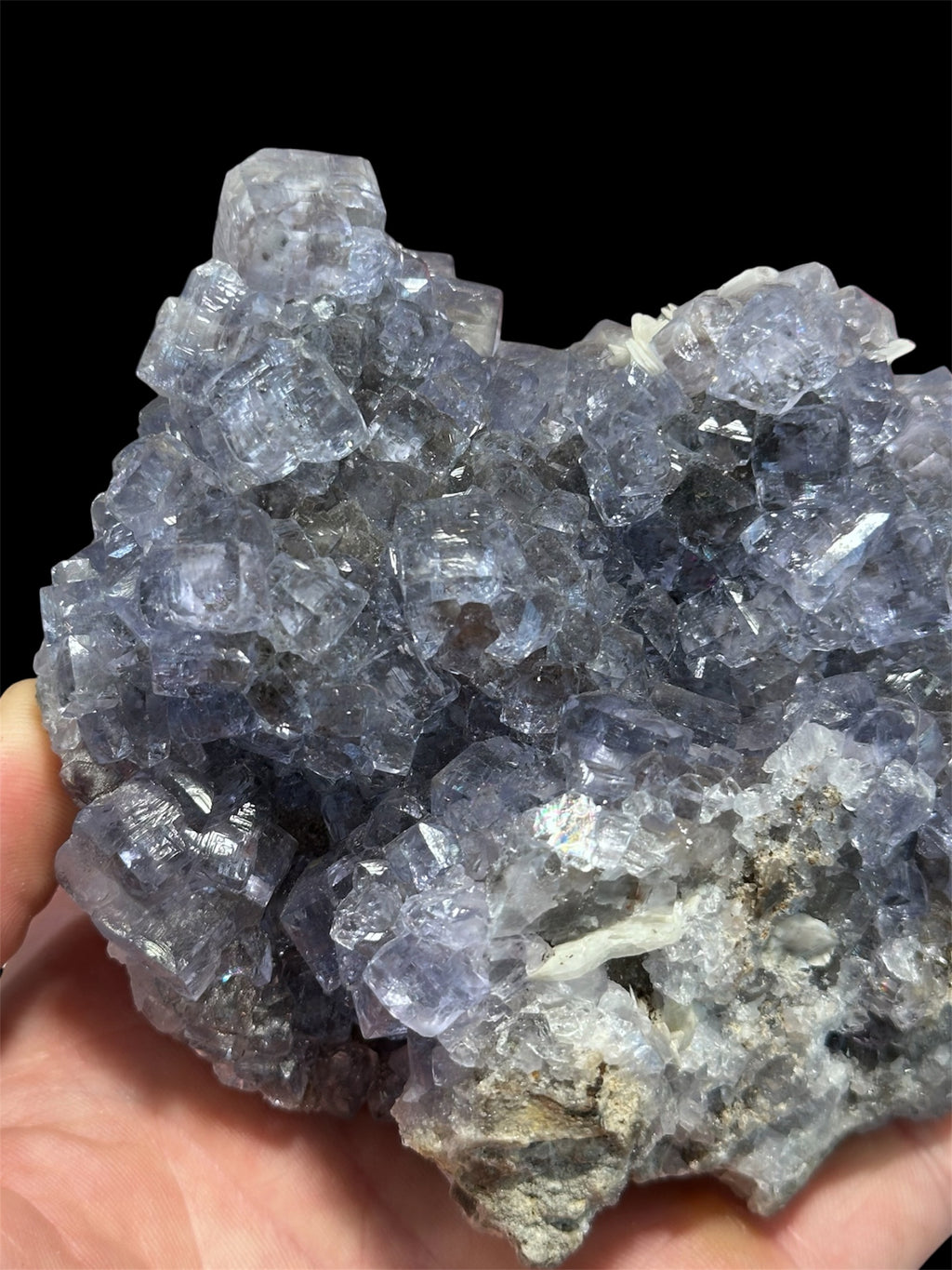 Fluorine bleue, La Collada, Asturies, Espagne.