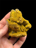 Pyromorphite, Mine des Farges, Corrèze, France.