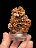 Vanadinite, Mibladen, Maroc.