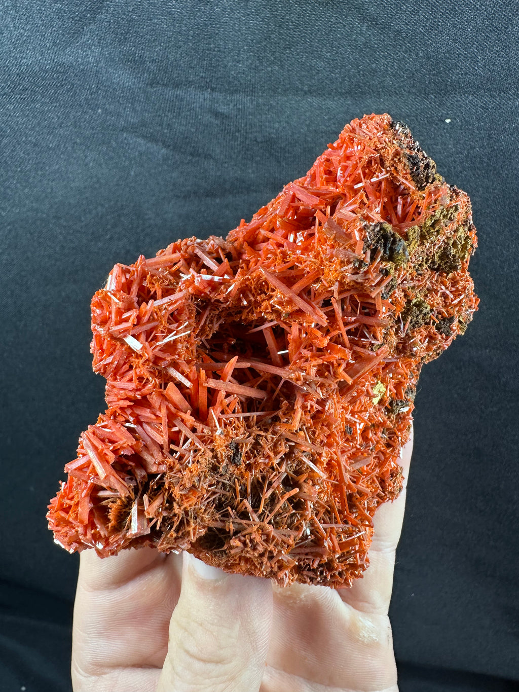 Crocoïte, Adelaide Mine, Dundas, Tasmanie, Australie.