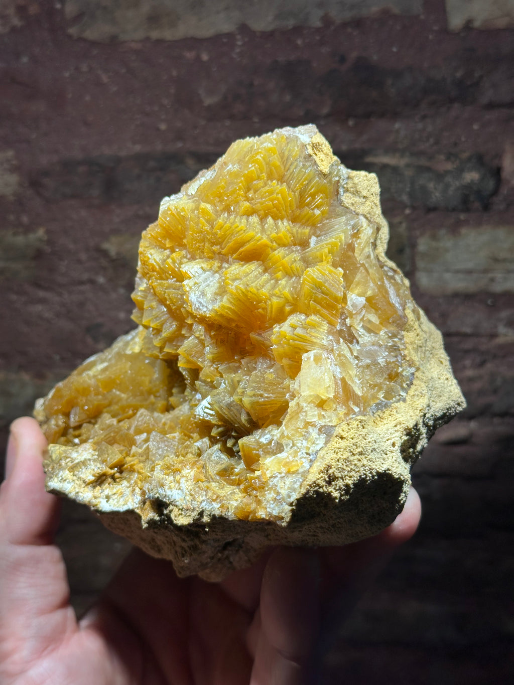 Calcite géodique, Carrière de Sillars, Vienne, France.