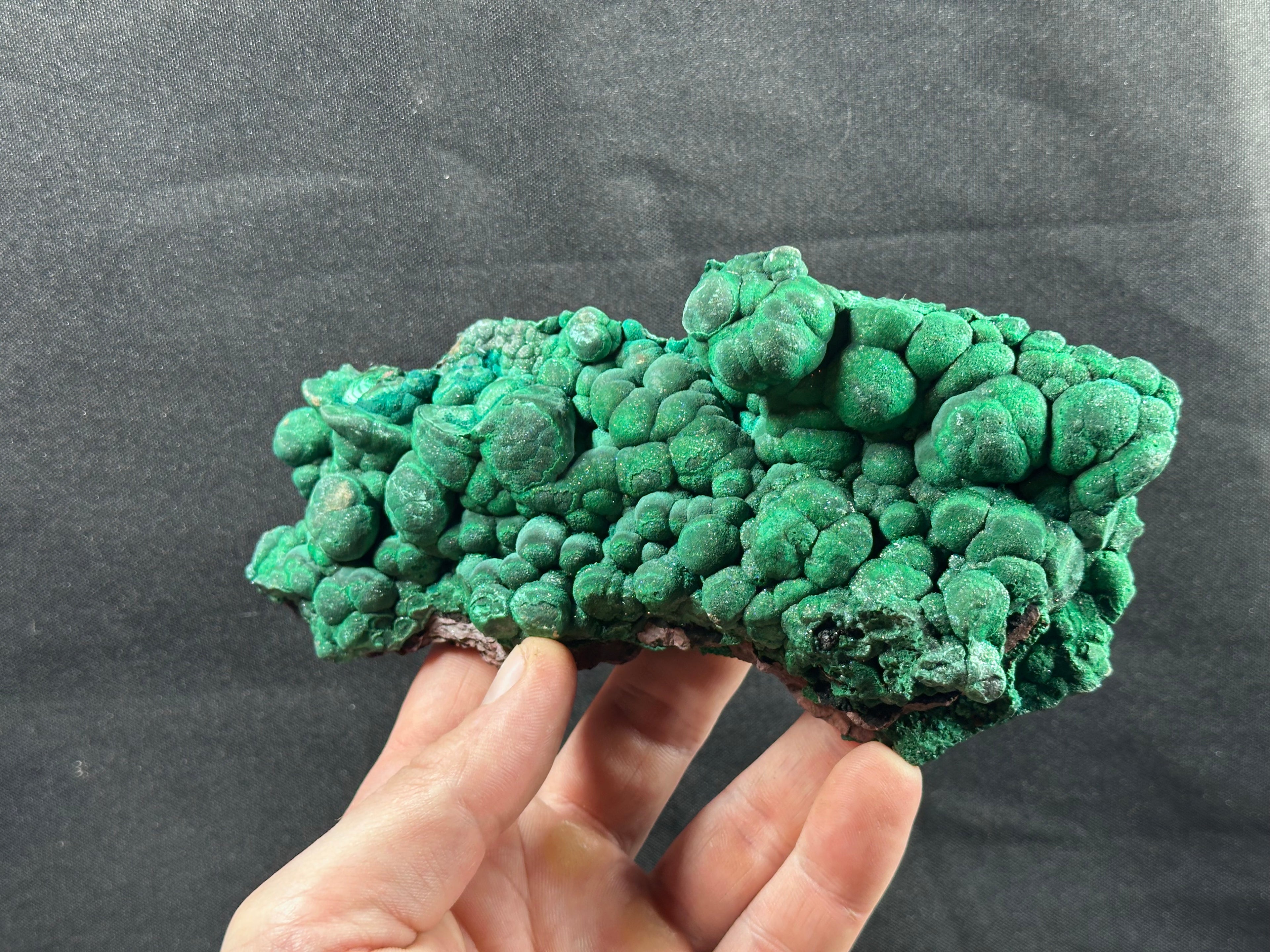 Malachite botryoïdale, Katanga, République Démocratique du Congo.