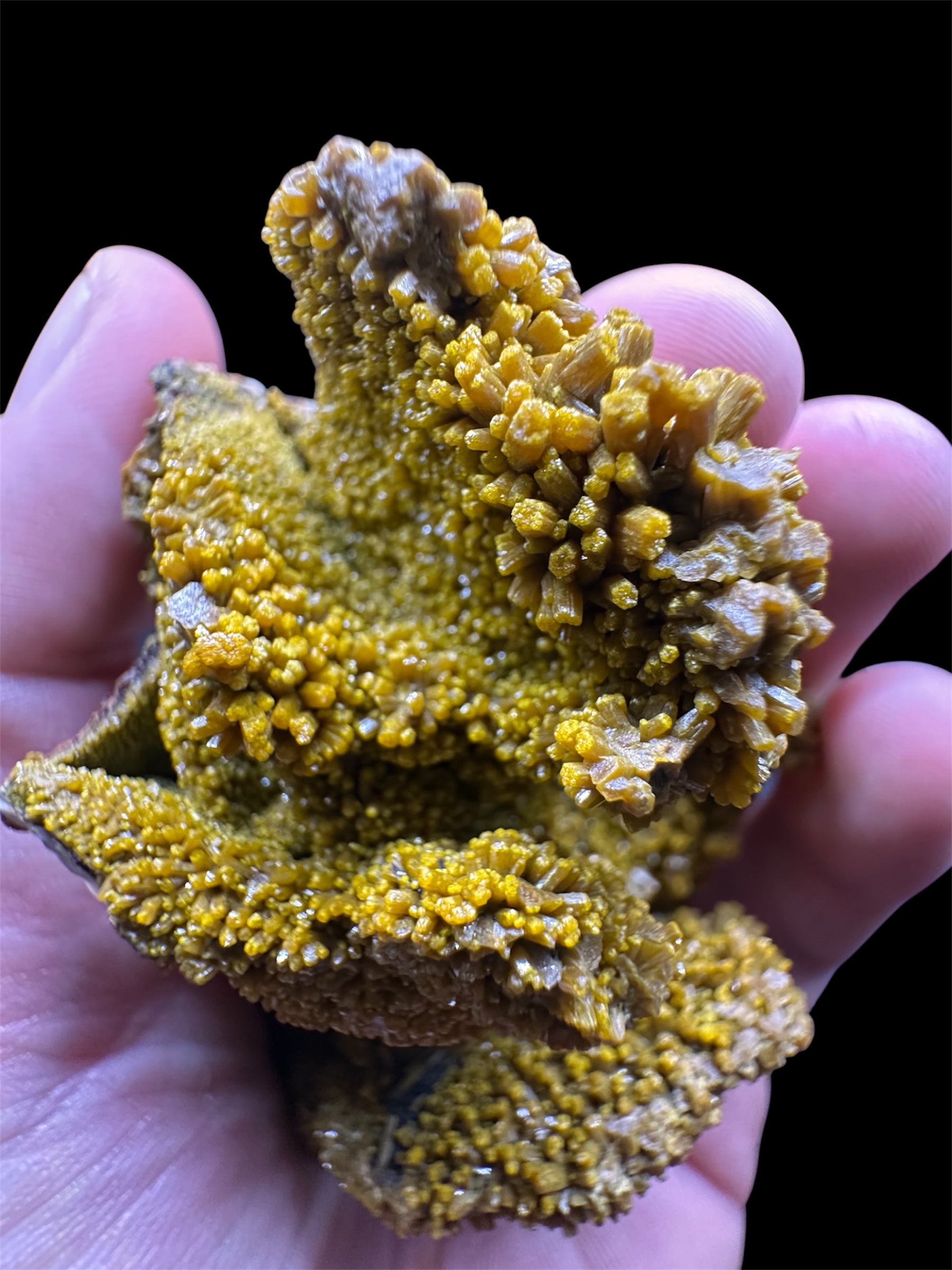 Pyromorphite, Mine des Farges, Corrèze, France.