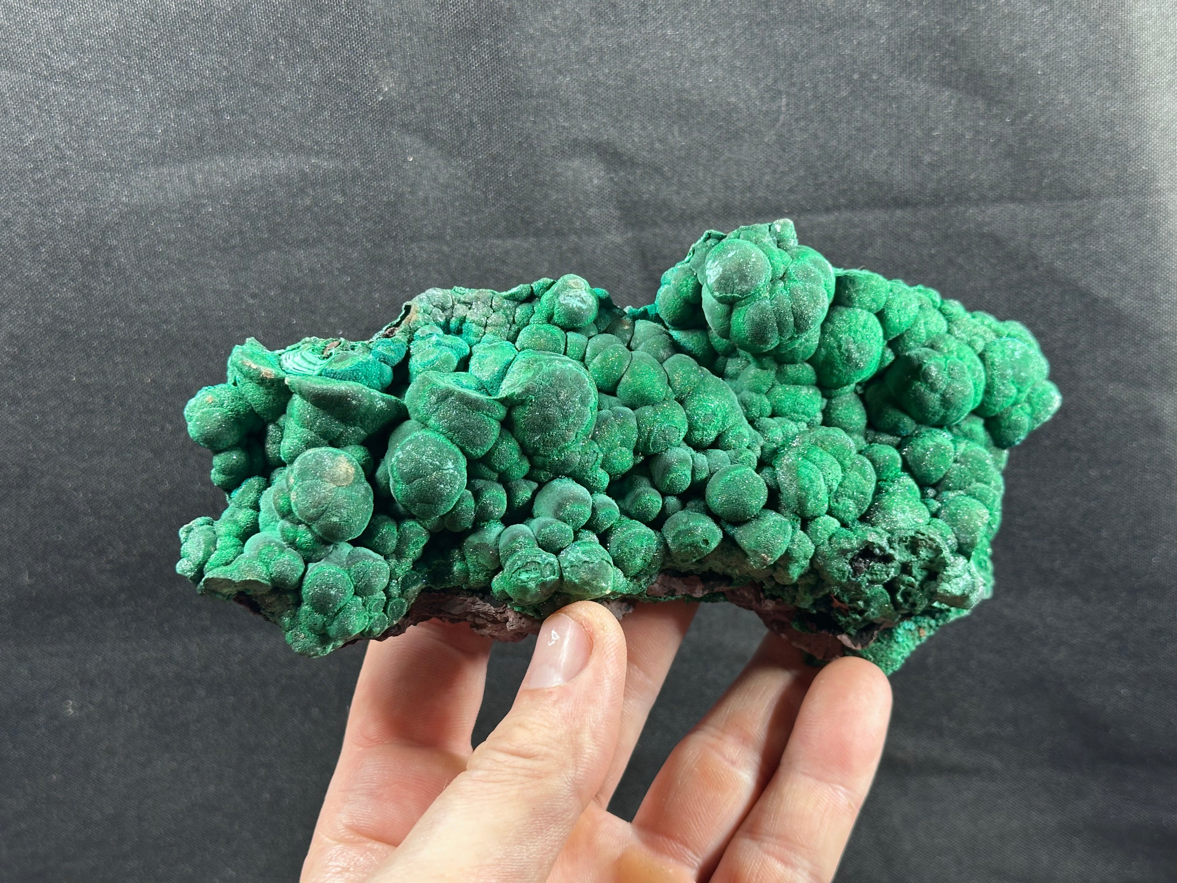 Malachite botryoïdale, Katanga, République Démocratique du Congo.