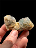 Fluorine « courbe », Mine de La Barre, Puy-de-Dôme, France.
