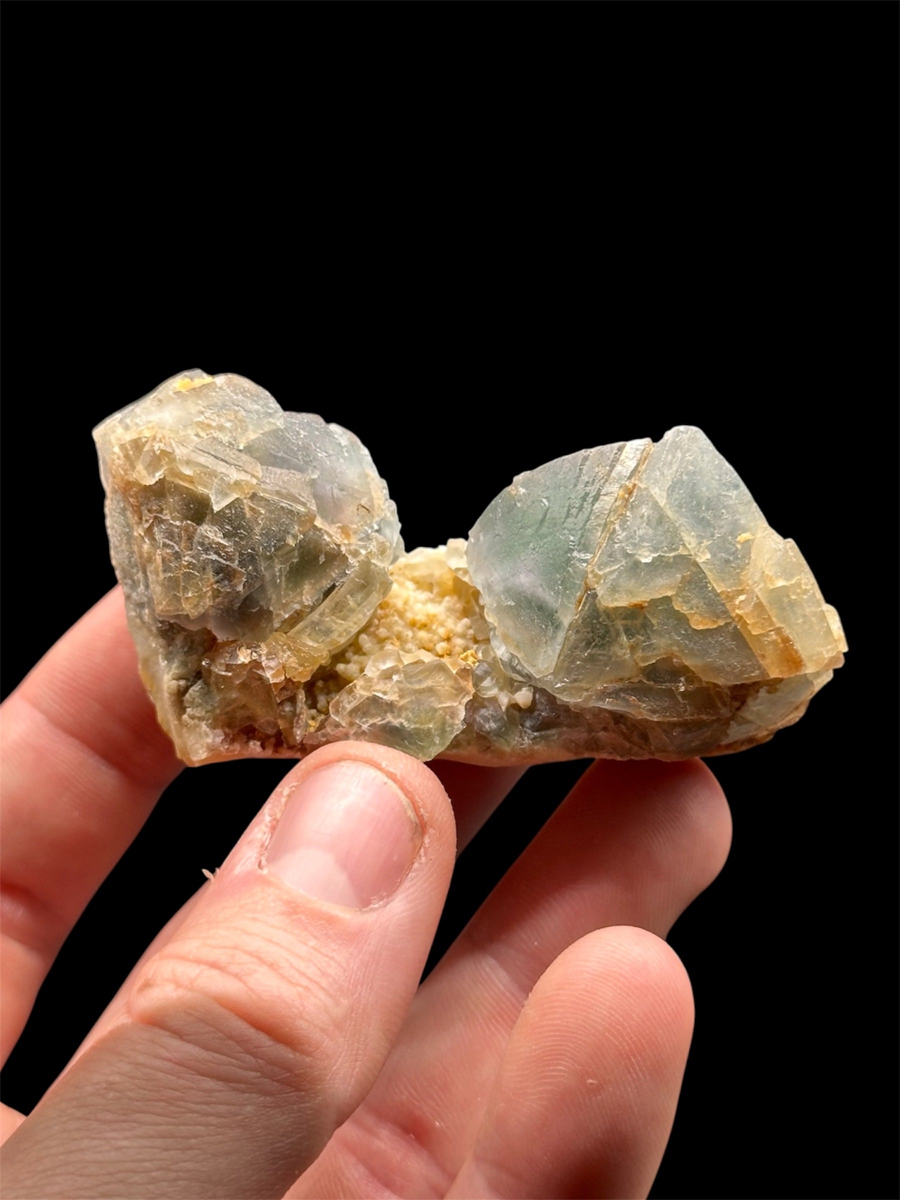 Fluorine « courbe », Mine de La Barre, Puy-de-Dôme, France.