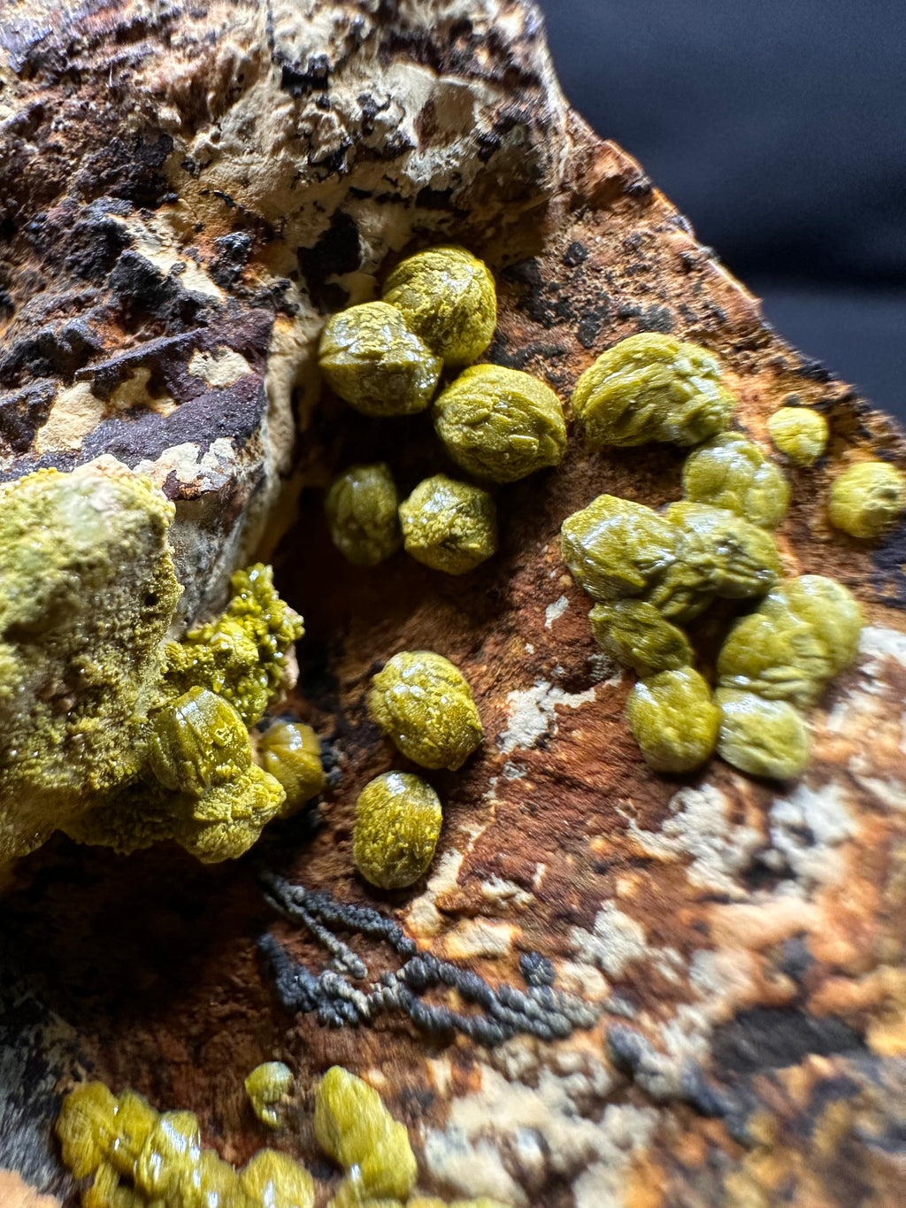 Pyromorphite, Les Rosiers, Pontgibaud, Riom, Puy-de-Dôme, France.