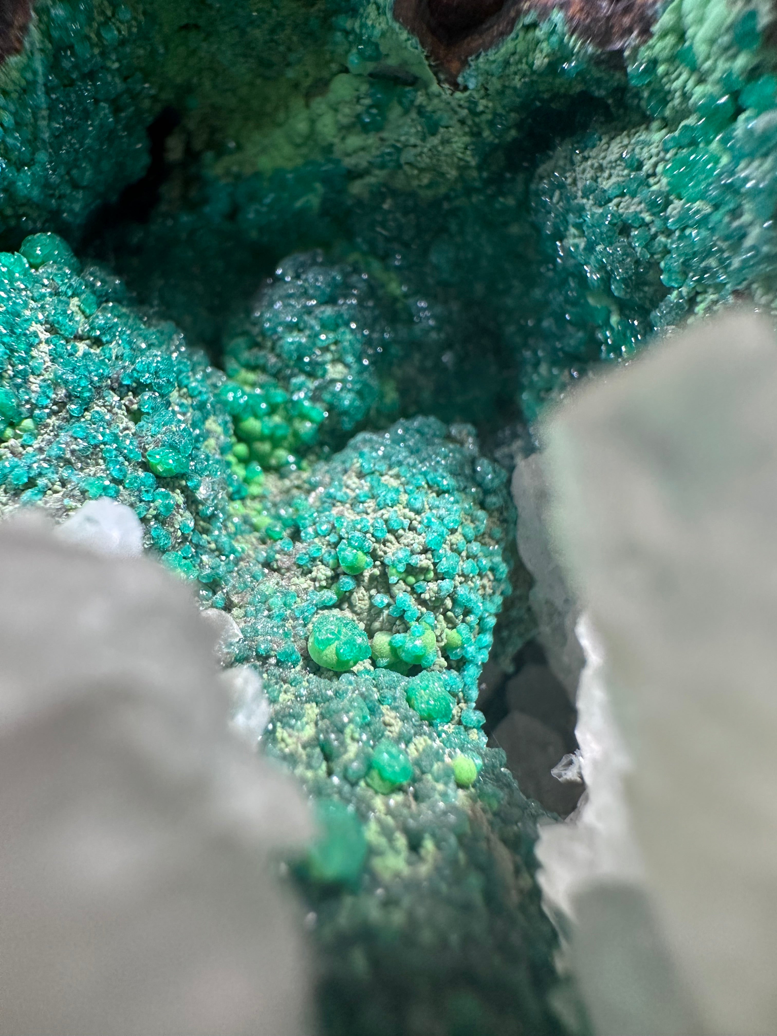 Calcite sur Conichalcite, Mine Ojuela, Mapimí, Durango, Mexique.
