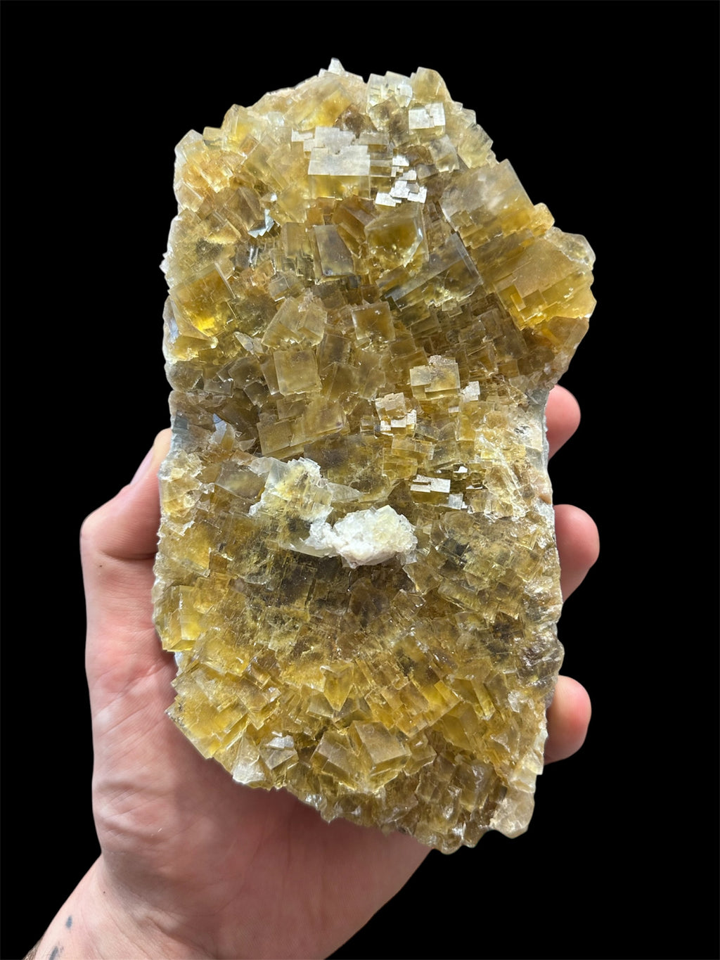 Fluorine jaune, Mine de La Barre, Saint-Jacques-d'Ambur, Puy-de-Dôme, France.