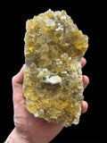 Fluorine jaune, Mine de La Barre, Saint-Jacques-d'Ambur, Puy-de-Dôme, France.