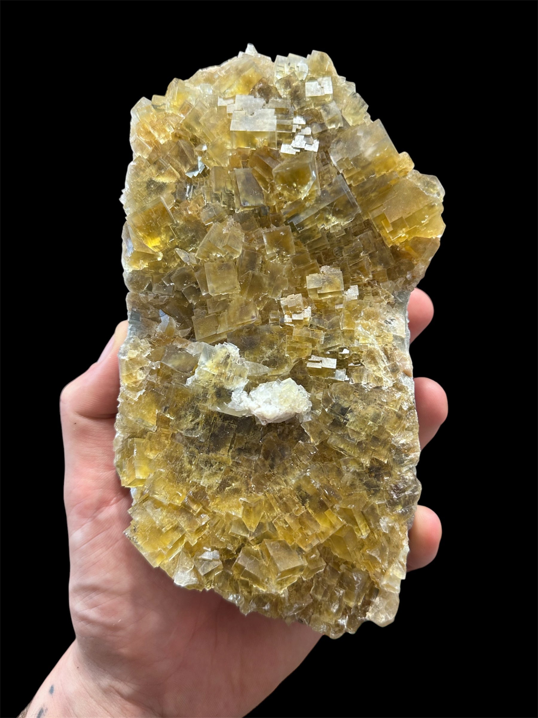 Fluorine jaune, Mine de La Barre, Saint-Jacques-d'Ambur, Puy-de-Dôme, France.
