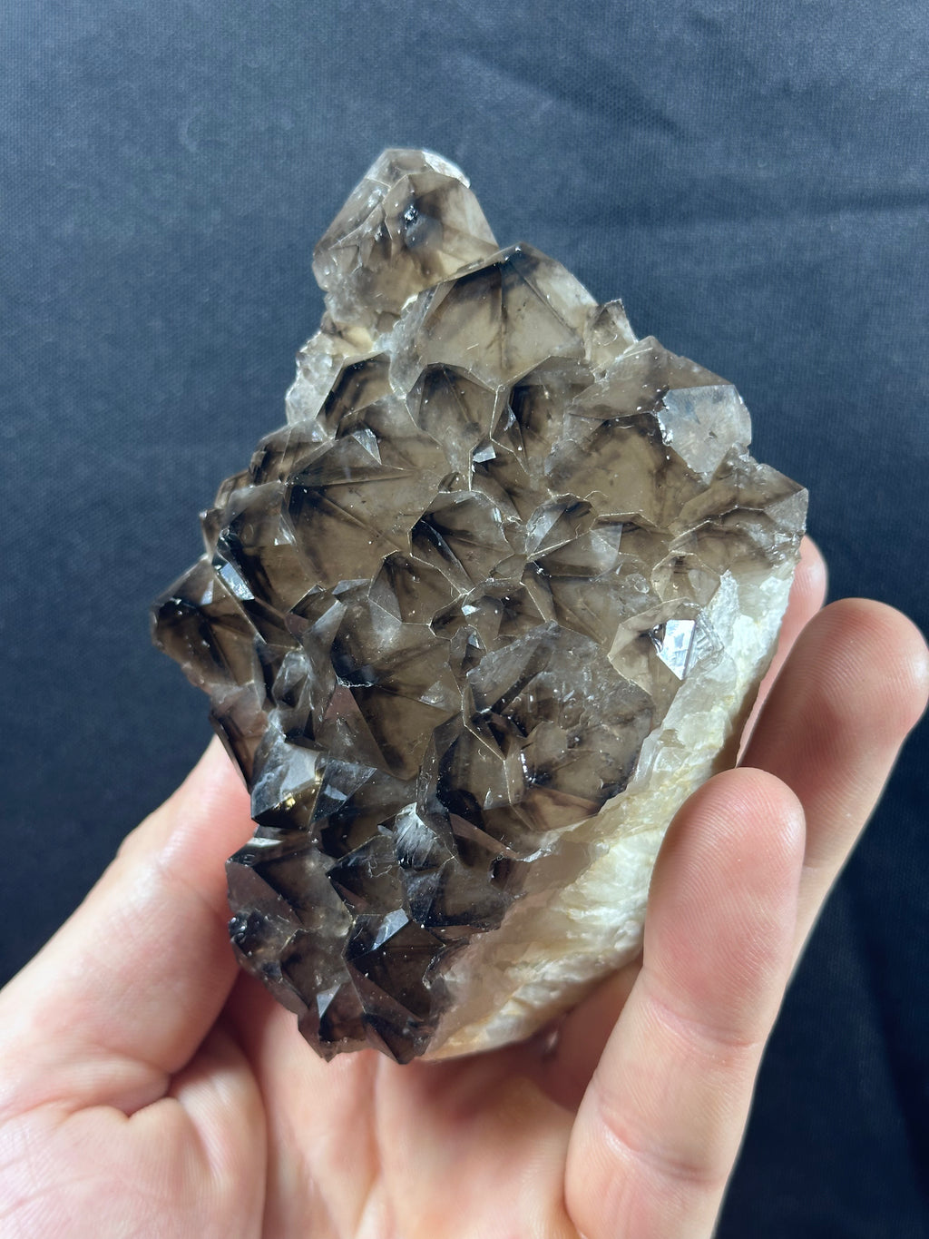 Quartz fumé, Ploemeur, Morbihan, France.