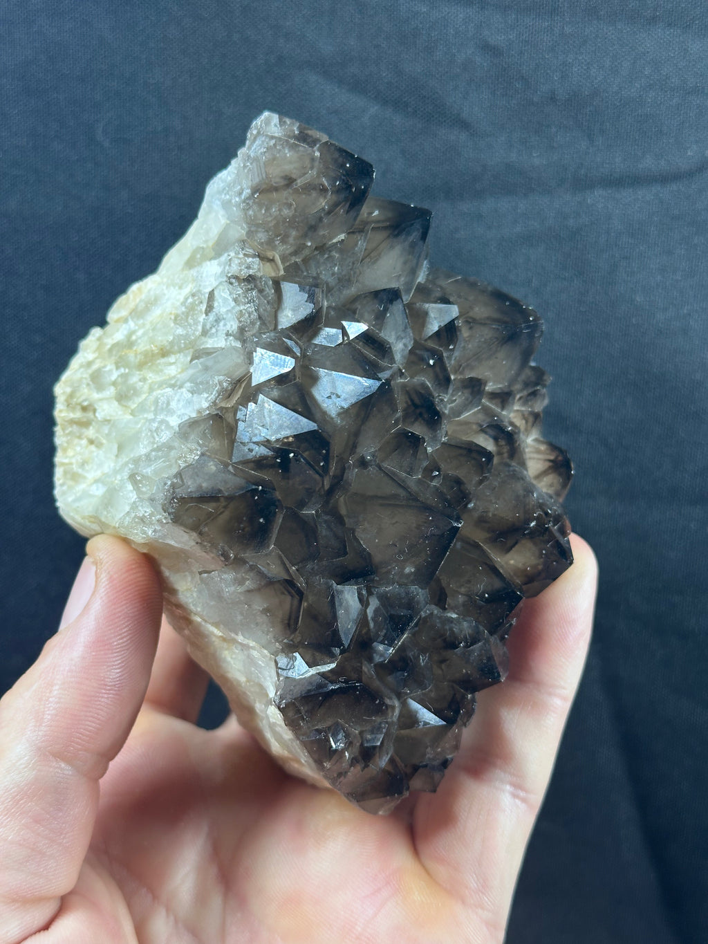 Quartz fumé, Ploemeur, Morbihan, France.