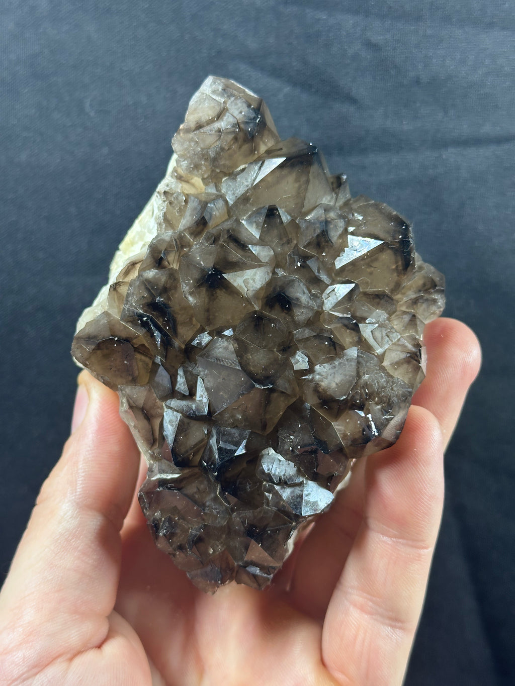 Quartz fumé, Ploemeur, Morbihan, France.