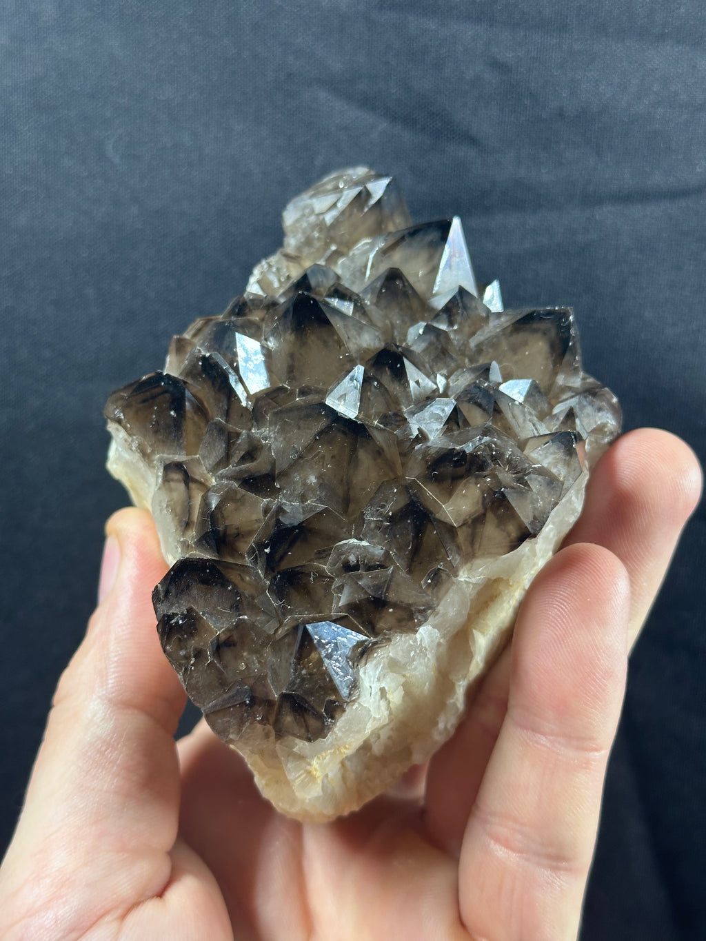 Quartz fumé, Ploemeur, Morbihan, France.