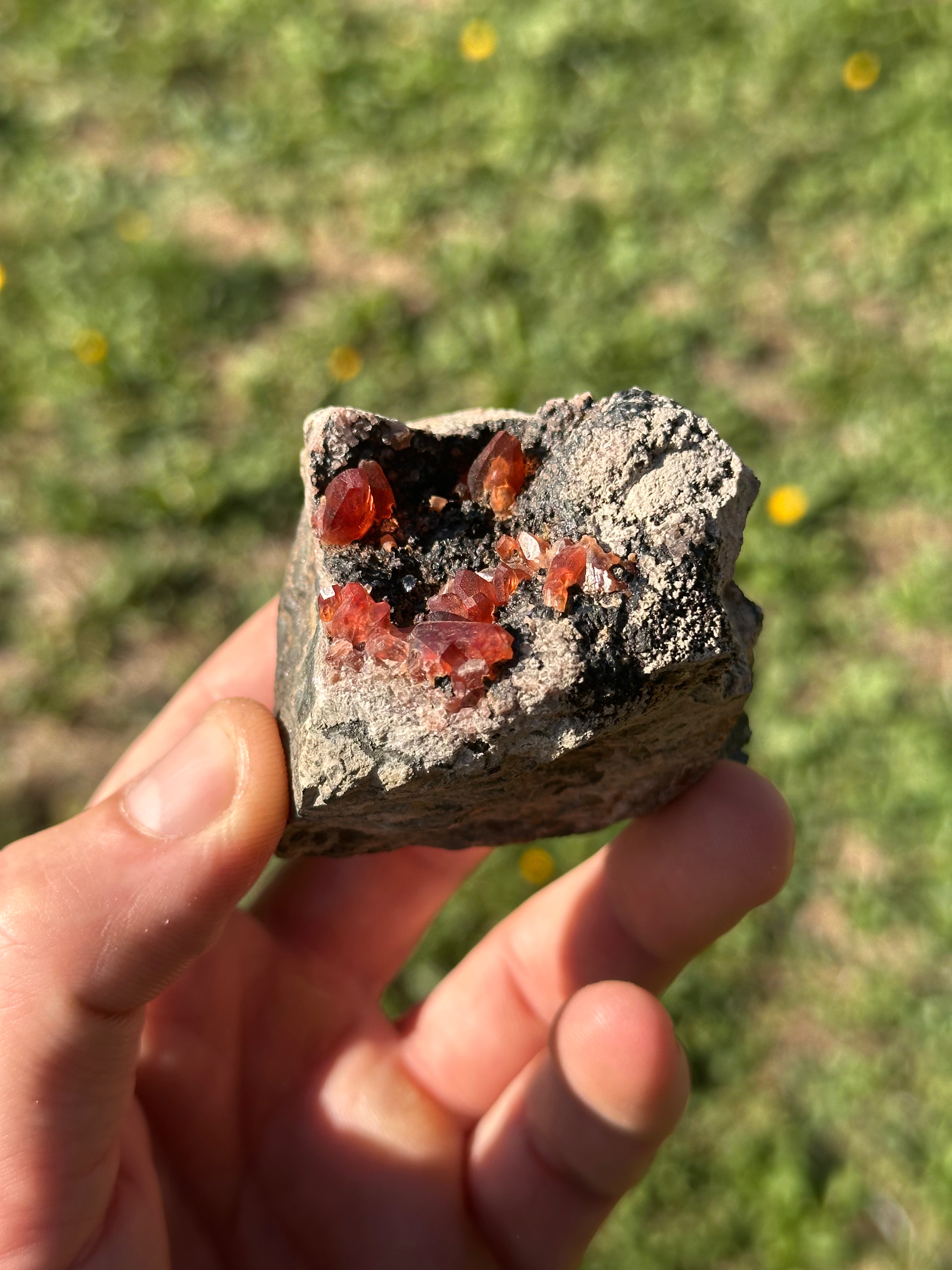 Rhodochrosite, Uchucchacua Mine, Pérou